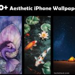 Download Free iPhone Wallpapers 4K HD