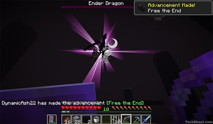 Kill The Ender Dragon In 100 Minecraft Days