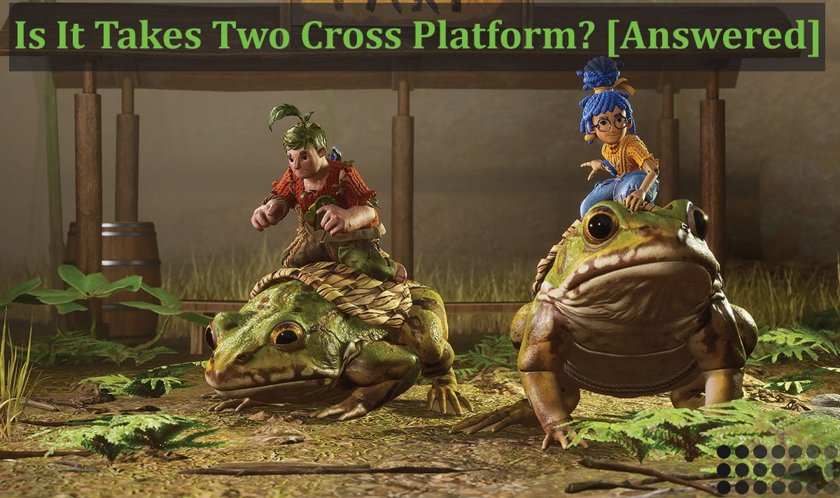 Is It Takes Two Game Cross Platform Answered