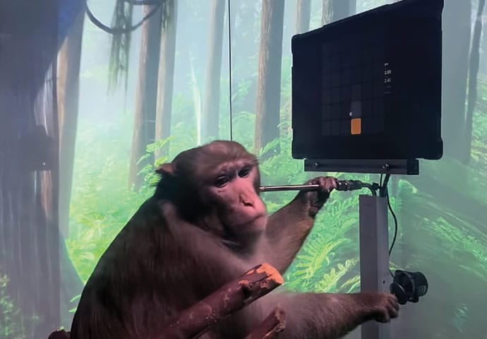 Neuralink Fitted Monkey Playing Video Game Pong