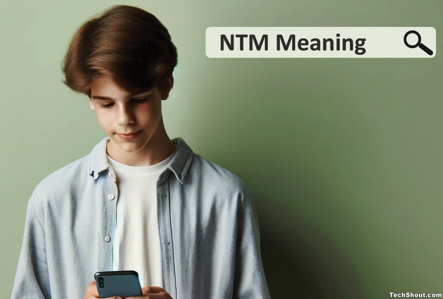 NTM Meaning in text and TikTok