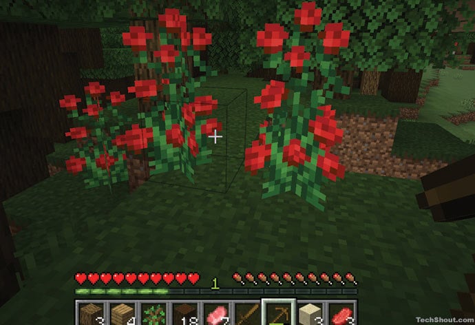 Green Dye In Minecraft - Red Flowers